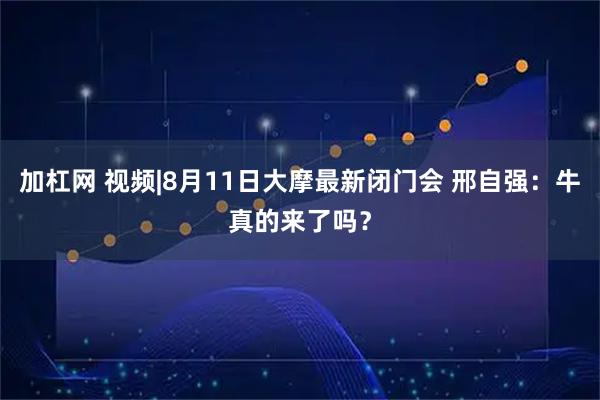 加杠网 视频|8月11日大摩最新闭门会 邢自强：牛真的来了吗？