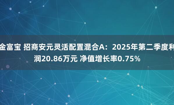 金富宝 招商安元灵活配置混合A：2025年第二季度利润20.86万元 净值增长率0.75%